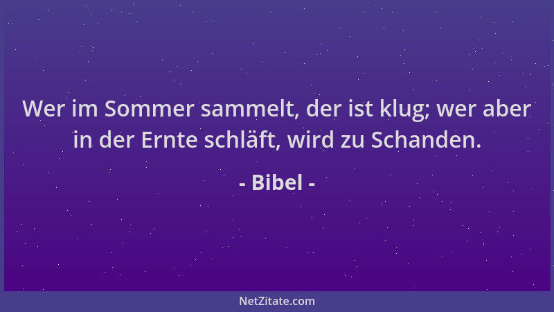 Bibel - Wer im Sommer sammelt, der ist klug; wer aber in der Ernte schläft, wird zu Schanden....
