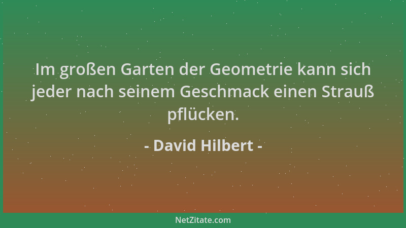 David Hilbert - Im großen Garten der Geometrie kann sich jeder nach seinem Geschmack einen Strauß pflücken....