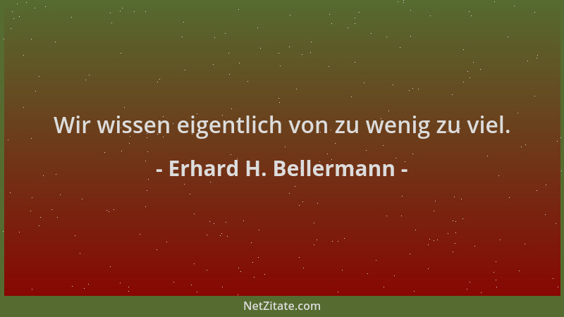 Erhard H. Bellermann - Wir wissen eigentlich von zu wenig zu viel....