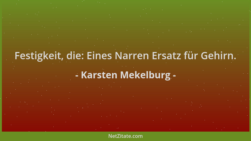 Karsten Mekelburg - Festigkeit, die: Eines Narren Ersatz für Gehirn....