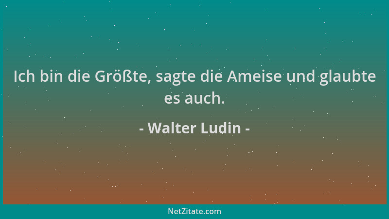 Walter Ludin - Ich bin die Größte, sagte die Ameise und glaubte es auch....