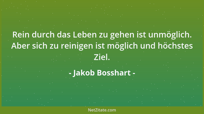 Jakob Bosshart - Rein durch das Leben zu gehen ist unmöglich. Aber sich zu reinigen ist möglich und höchstes Ziel....