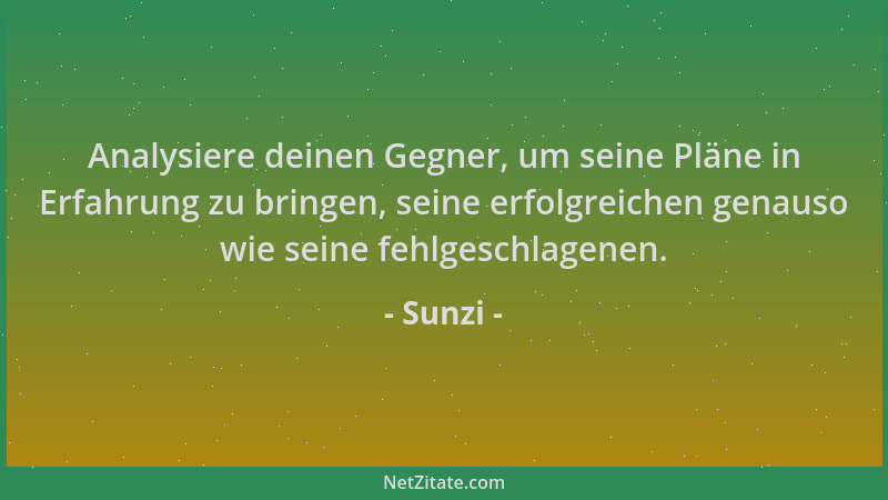 Sunzi - Analysiere deinen Gegner, um seine Pläne in Erfahrung zu bringen, seine erfolgreichen genauso wie seine fehlgeschla...