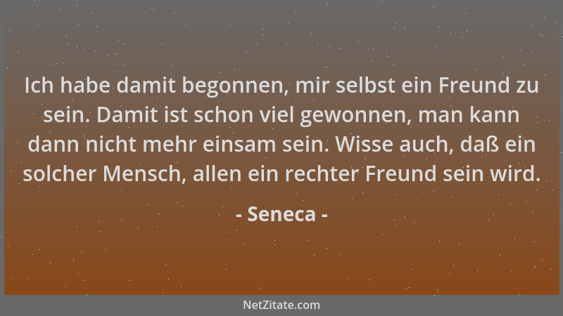 Seneca - Ich habe damit begonnen, mir selbst ein Freund zu sein. Damit ist schon viel gewonnen, man kann dann nicht mehr ei...