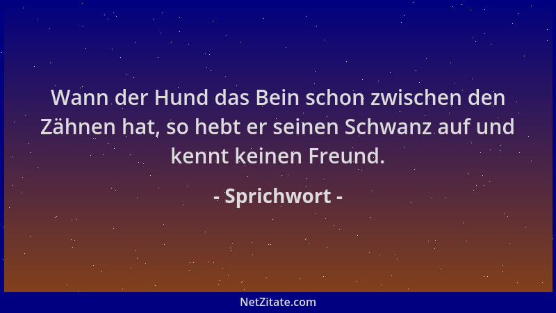 Sprichwort - Wann der Hund das Bein schon zwischen den Zähnen hat, so hebt er seinen Schwanz auf und kennt keinen Freund....