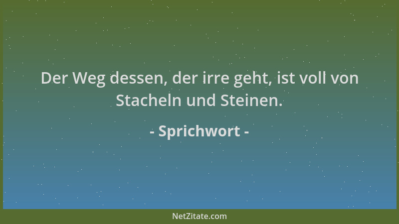Sprichwort - Der Weg dessen, der irre geht, ist voll von Stacheln und Steinen....