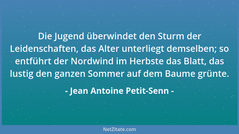 Jean Antoine Petit-Senn - Die Jugend überwindet den Sturm der Leidenschaften, das Alter unterliegt demselben; so entführt d...