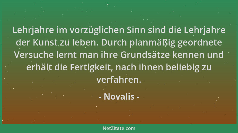 Novalis - Lehrjahre im vorzüglichen Sinn sind die Lehrjahre der Kunst zu leben. Durch planmäßig geordnete Versuche lernt ma...