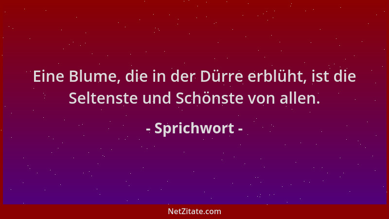 Sprichwort - Eine Blume, die in der Dürre erblüht, ist die Seltenste und Schönste von allen....