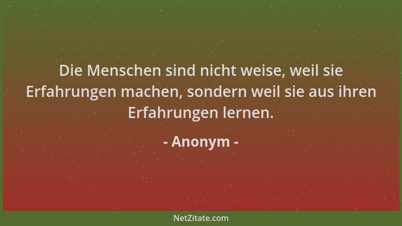 Anonym - Die Menschen sind nicht weise, weil sie Erfahrungen machen, sondern weil sie aus ihren Erfahrungen lernen....