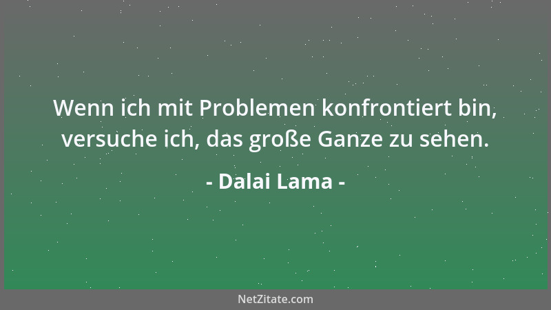 Dalai Lama - Wenn ich mit Problemen konfrontiert bin, versuche ich, das große Ganze zu sehen....