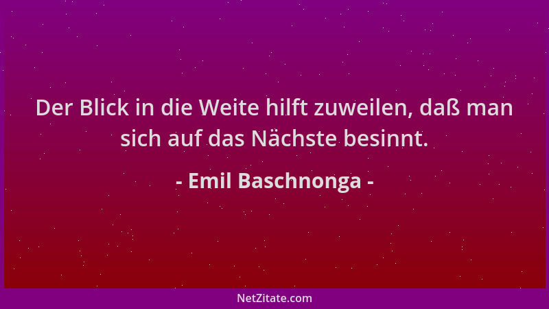 Emil Baschnonga - Der Blick in die Weite hilft zuweilen, daß man sich auf das Nächste besinnt....