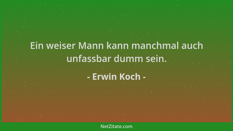 Erwin Koch - Ein weiser Mann kann manchmal auch unfassbar dumm sein....