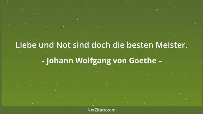 Johann Wolfgang von Goethe - Liebe und Not sind doch die besten Meister....
