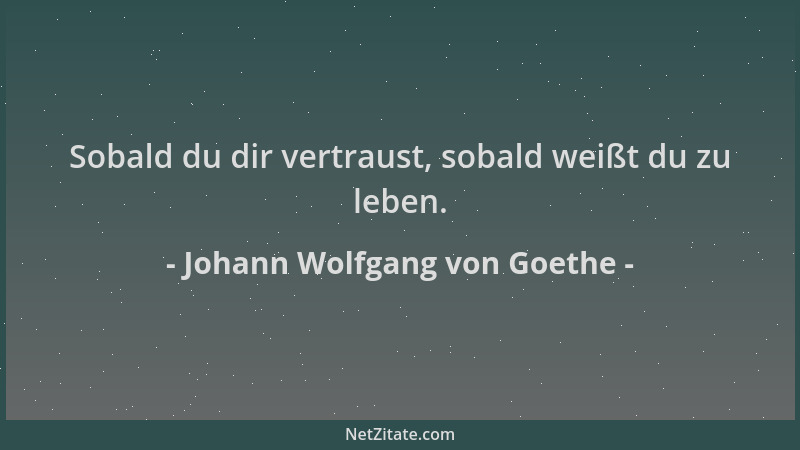 Johann Wolfgang von Goethe - Sobald du dir vertraust, sobald weißt du zu leben....