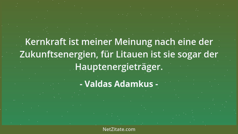 Valdas Adamkus - Es wird weiter unsere Hauptaufgabe sein, die Mitgliedschaft in Nato und EU anzustreben....