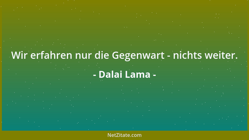 Dalai Lama - Wir erfahren nur die Gegenwart - nichts weiter....