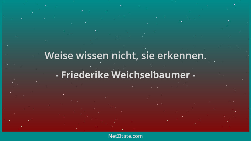 Friederike Weichselbaumer - Weise wissen nicht, sie erkennen....