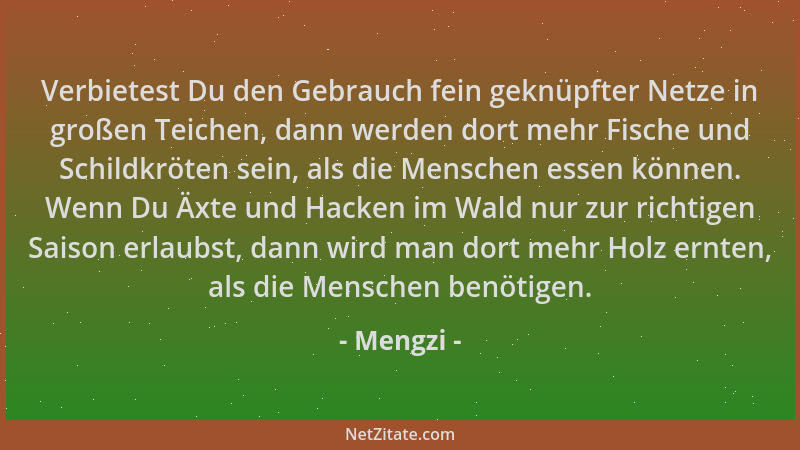 Mengzi - Verbietest Du den Gebrauch fein geknüpfter Netze in großen Teichen, dann werden dort mehr Fische und Schildkröten...