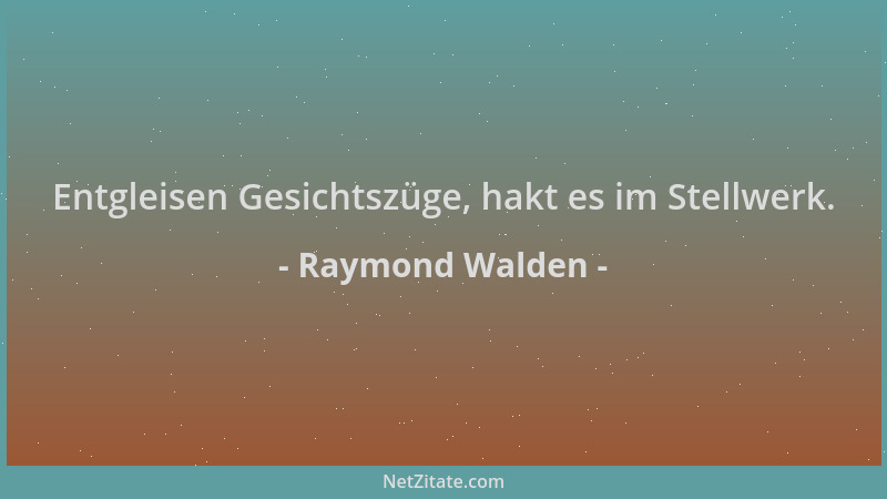 Raymond Walden - Entgleisen Gesichtszüge, hakt es im Stellwerk....