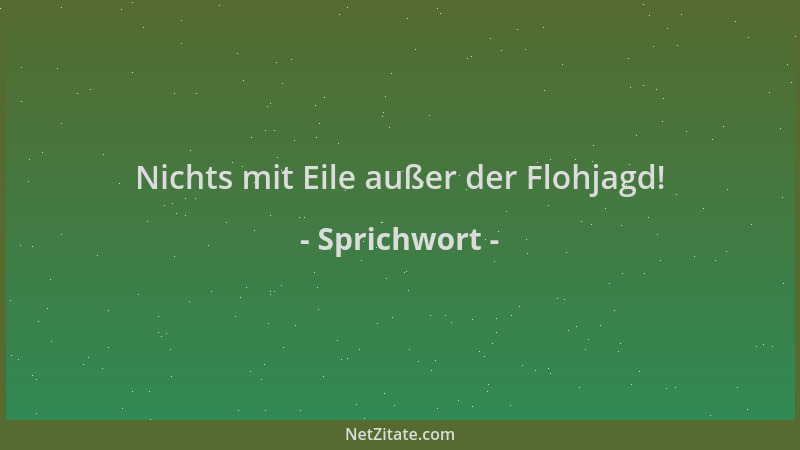 Sprichwort - Nichts mit Eile außer der Flohjagd!...