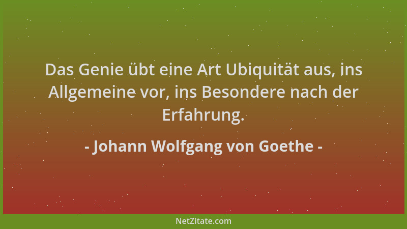 Johann Wolfgang von Goethe - Das Genie übt eine Art Ubiquität aus, ins Allgemeine vor, ins Besondere nach der Erfahrung....