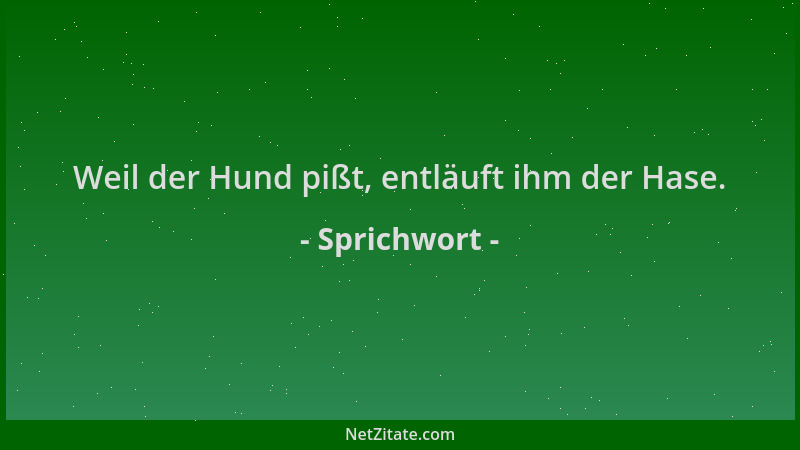 Sprichwort - Weil der Hund pißt, entläuft ihm der Hase....