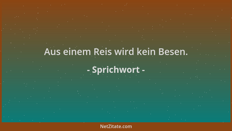 Sprichwort - Aus einem Reis wird kein Besen....
