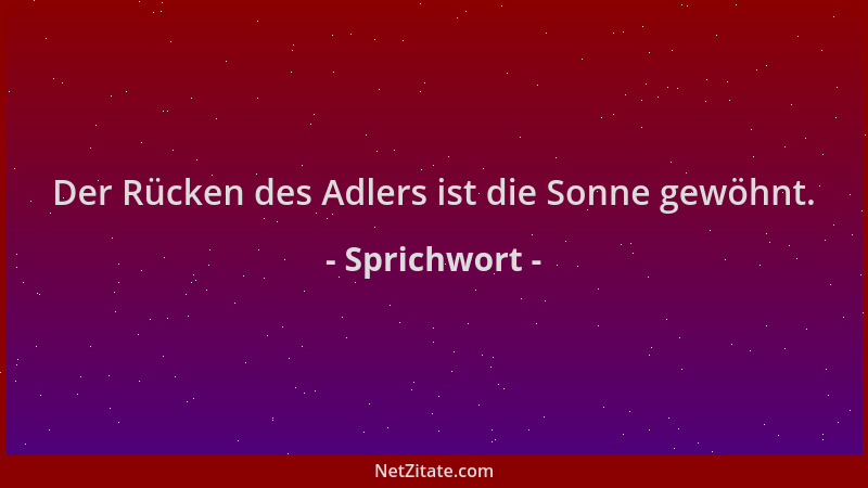 Sprichwort - Der Rücken des Adlers ist die Sonne gewöhnt....