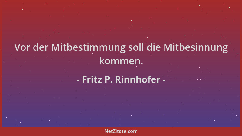 Fritz P. Rinnhofer - Vor der Mitbestimmung soll die Mitbesinnung kommen....