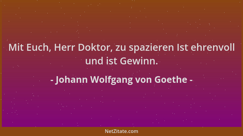 Johann Wolfgang von Goethe - Mit Euch, Herr Doktor, zu spazieren Ist ehrenvoll und ist Gewinn....