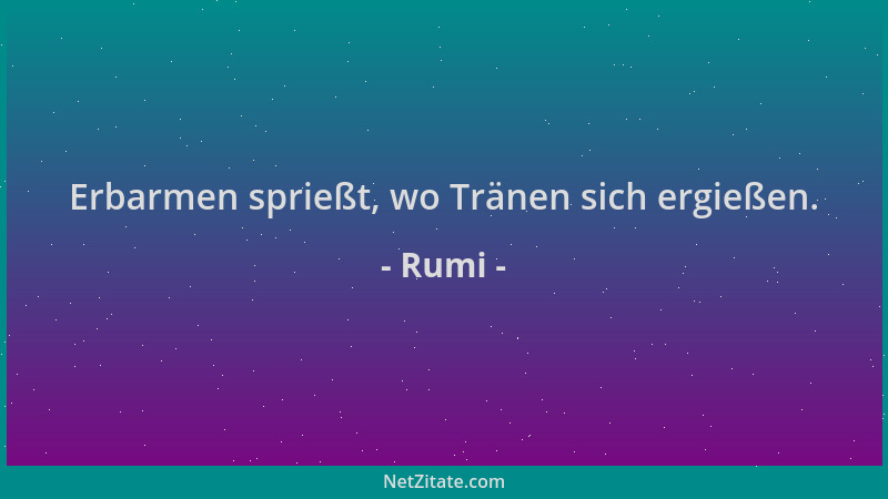 Rumi - Erbarmen sprießt, wo Tränen sich ergießen....