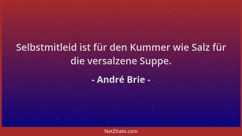 André Brie - Selbstmitleid ist für den Kummer wie Salz für die versalzene Suppe....