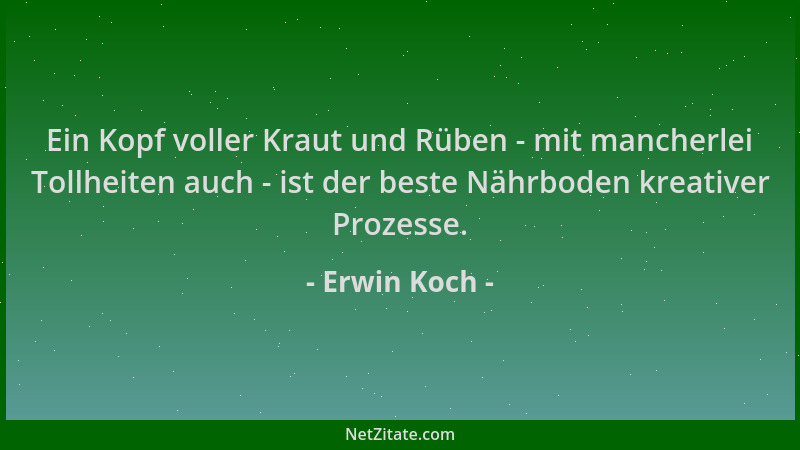 Erwin Koch - Ein Kopf voller Kraut und Rüben - mit mancherlei Tollheiten auch - ist der beste Nährboden kreativer Prozesse....