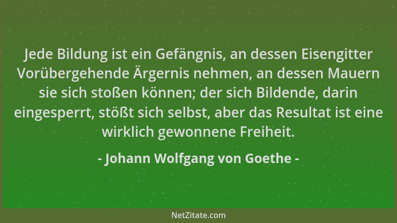 Johann Wolfgang von Goethe - Jede Bildung ist ein Gefängnis, an dessen Eisengitter Vorübergehende Ärgernis nehmen, an desse...