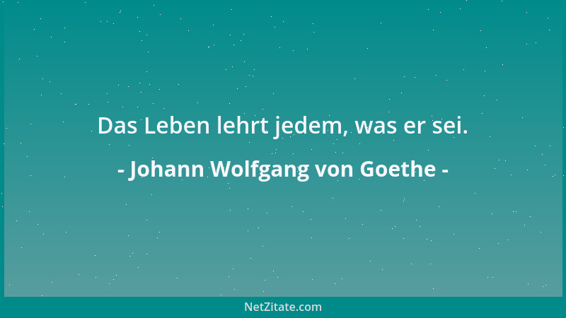 Johann Wolfgang von Goethe - Das Leben lehrt jedem, was er sei....