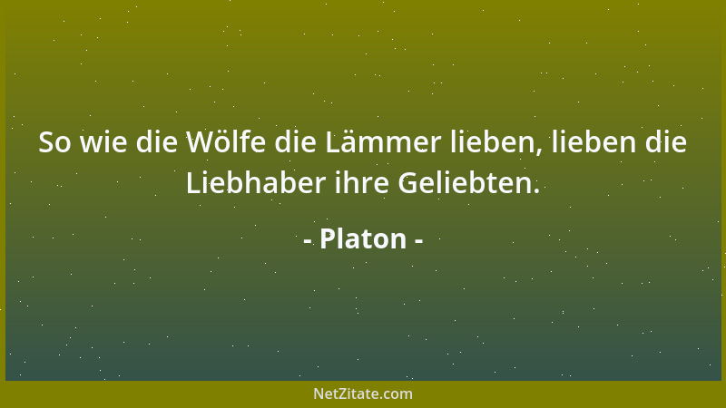 Platon - So wie die Wölfe die Lämmer lieben, lieben die Liebhaber ihre Geliebten....