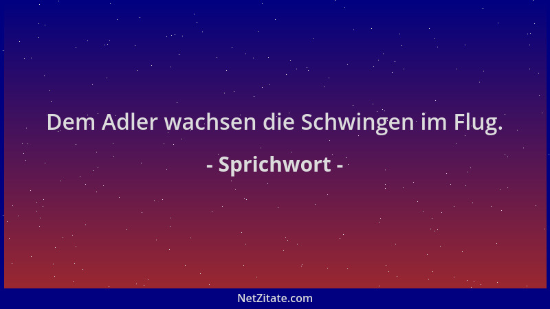 Sprichwort - Dem Adler wachsen die Schwingen im Flug....