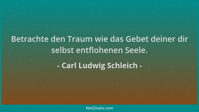 Carl Ludwig Schleich - Betrachte den Traum wie das Gebet deiner dir selbst entflohenen Seele....
