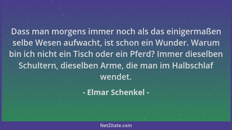 Elmar Schenkel - Dass man morgens immer noch als das einigermaßen selbe Wesen aufwacht, ist schon ein Wunder. Warum bin ich...