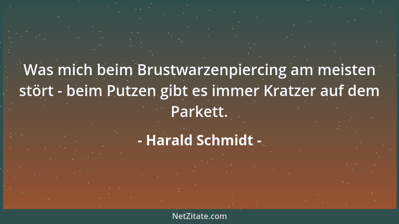 Harald Schmidt - Was mich beim Brustwarzenpiercing am meisten stört - beim Putzen gibt es immer Kratzer auf dem Parkett....