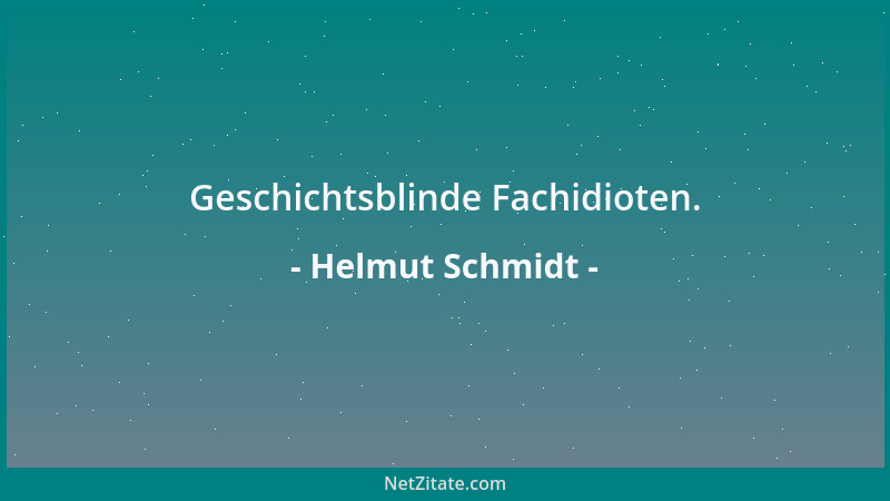 Helmut Schmidt - Geschichtsblinde Fachidioten....
