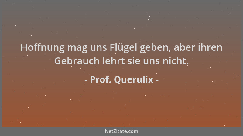 Prof. Querulix - Hoffnung mag uns Flügel geben, aber ihren Gebrauch lehrt sie uns nicht....