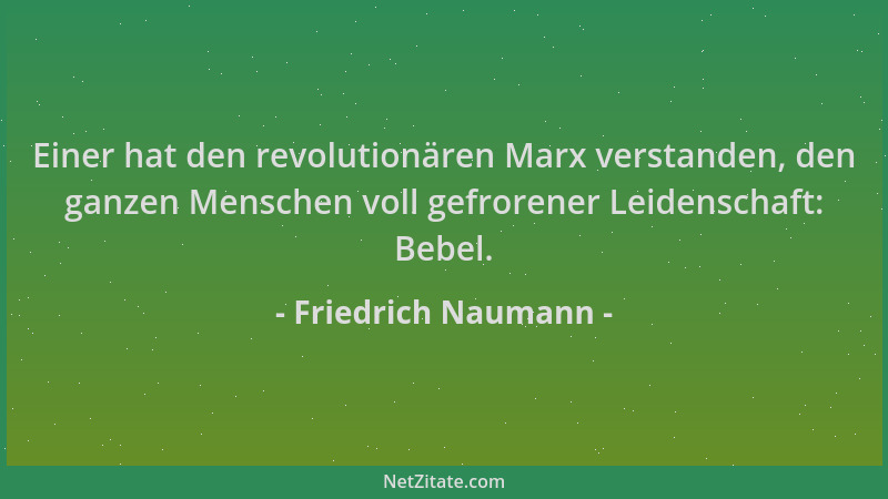 Friedrich Naumann - Einer hat den revolutionären Marx verstanden, den ganzen Menschen voll gefrorener Leidenschaft: Bebel....