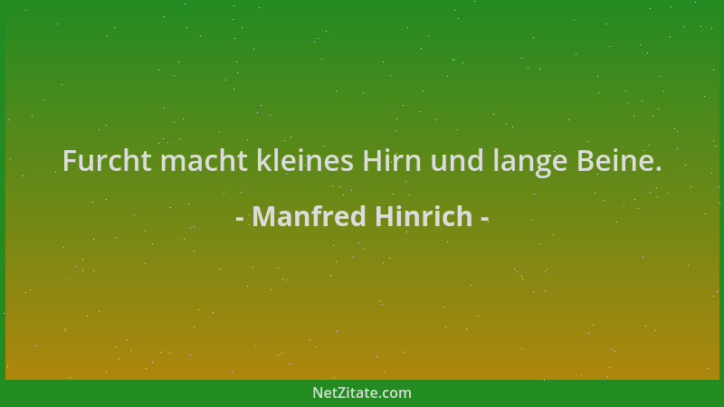 Manfred Hinrich - Furcht macht kleines Hirn und lange Beine....