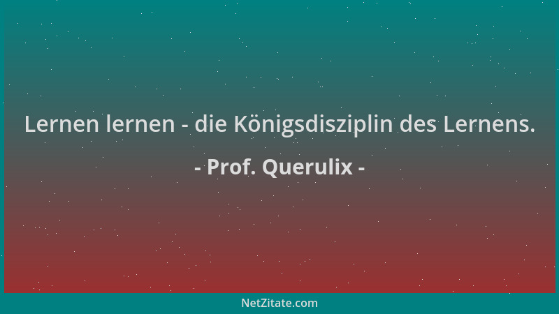 Prof. Querulix - Lernen lernen - die Königsdisziplin des Lernens....