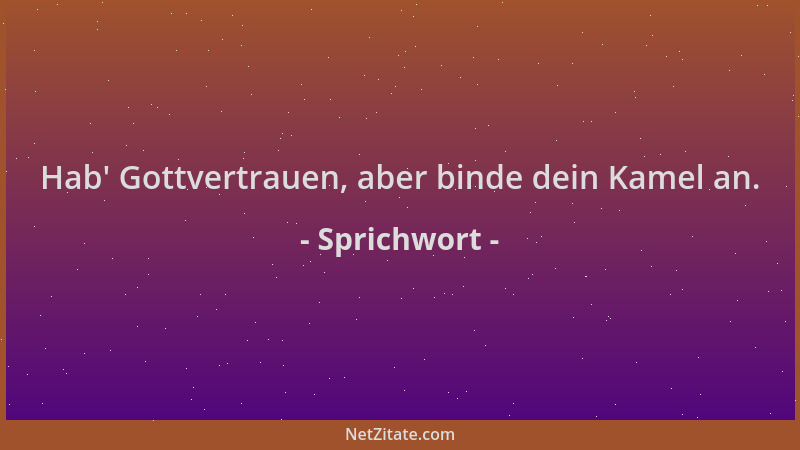 Sprichwort - Hab ' Gottvertrauen, aber binde dein Kamel an....