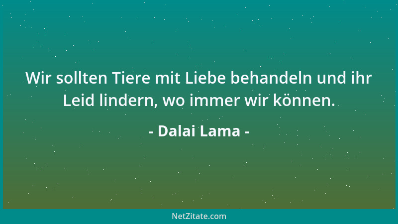 Dalai Lama - Wir sollten Tiere mit Liebe behandeln und ihr Leid lindern, wo immer wir können....