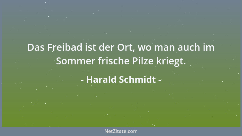Harald Schmidt - Das Freibad ist der Ort, wo man auch im Sommer frische Pilze kriegt....
