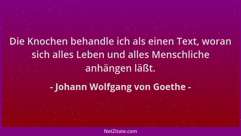 Johann Wolfgang von Goethe - Die Knochen behandle ich als einen Text, woran sich alles Leben und alles Menschliche anhängen...